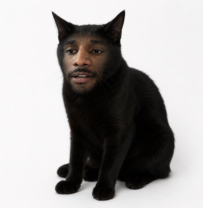 A surreal AI-generated image of a black cat with the face of a man, sitting against a white background.