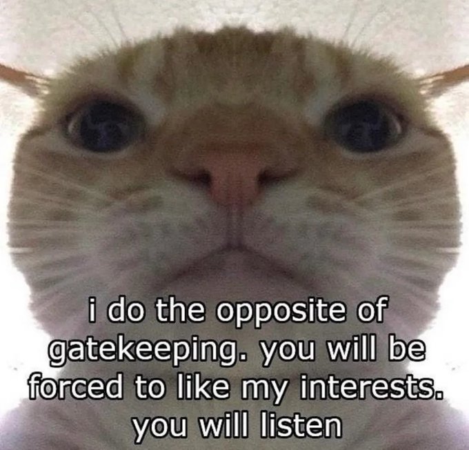 A close-up of an orange tabby cat with an intense, wide-eyed stare is overlaid with the text: "i do the opposite of gatekeeping. you will be forced to like my interests. you will listen." The image humorously relates to the post by playfully reflecting the author's enthusiastic promotion of their interests and various DeFi protocols in their newsletter.