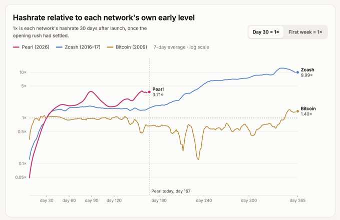 A line chart titled 'Hashrate relative to each network's own early level' comparing Pearl (2026) at 3.71x, Zcash (2016-17) at 9.99x, and Bitcoin (2009) at 1.40x over their first 365 days on a 7-day average log scale.
