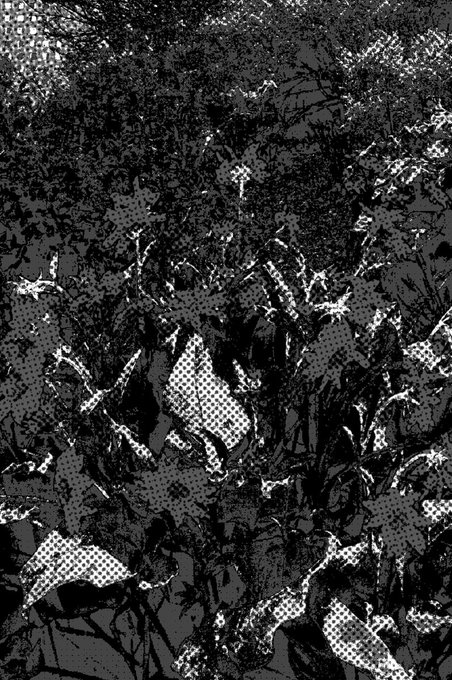A high-contrast black-and-white halftone pattern with abstract shapes, textures, and dotted gradients.