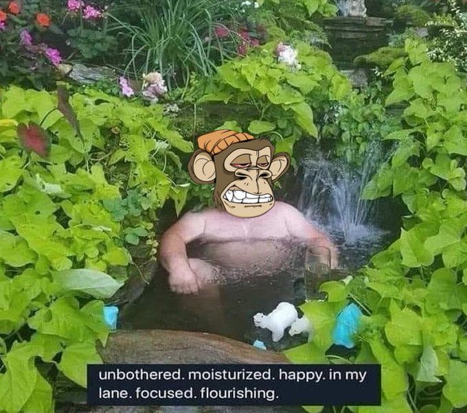 The image features a cartoon monkey sitting in water surrounded by plants, with text that reads "unbothered. moisturized. happy. in my lane. focused. flourishing." The caption also includes an explanation of the post's content.