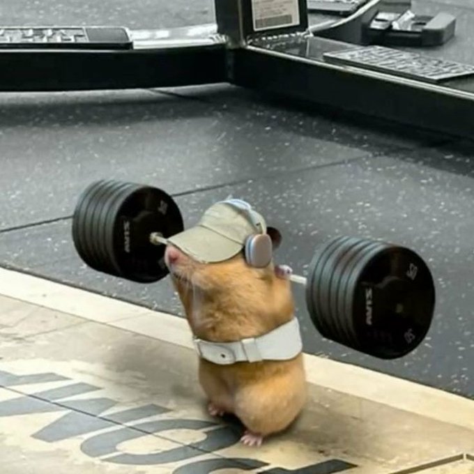 A hamster wearing a beige cap and headphones stands on its hind legs lifting an oversized barbell in a gym setting. The image humorously symbolizes strength, preparation, and resilience, fitting the post's theme of building robust projects in anticipation of future challenges like quantum computing threats.