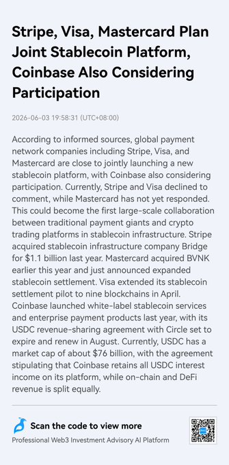 The image features a text box on a website that provides information about major payment companies like Stripe, Visa, Mastercard, and Coinbase. The image shows a screenshot of the text box on an internet browser page.