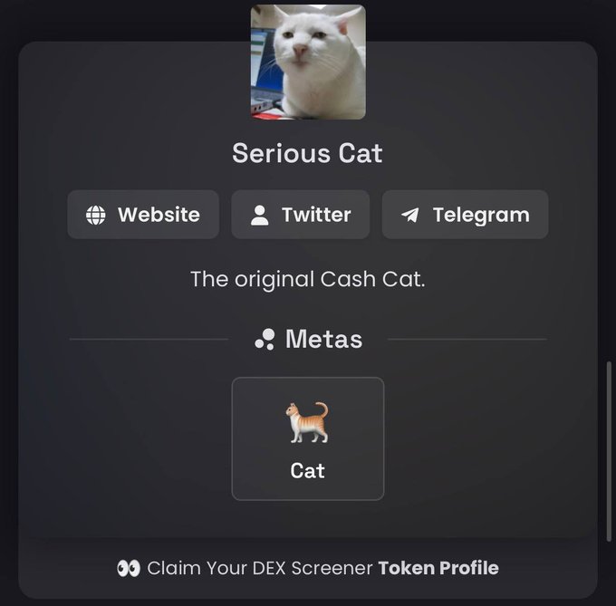 The image displays a DEX Screener token profile page for "Serious Cat," described as "The original Cash Cat," featuring a white cat avatar and showing "Cat" under the Metas category. The post promotes $Seriouscat as the "ruler of the cat meta," aligning with the token profile's branding as a leading cat-themed cryptocurrency.