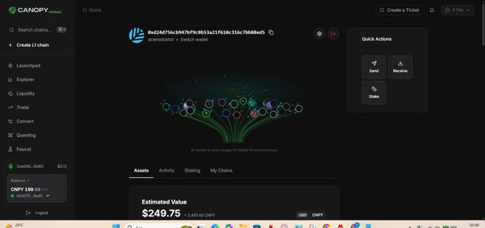 A screenshot of the Canopy Network wallet interface showing an estimated portfolio value of $249.75 (2,487.63 CNPY) for user "acelmidokdzr", with "30 assets in your canopy" displayed and an emphasis on AI-asset relationships—reinforcing the post's theme of AI-driven blockchain innovation.