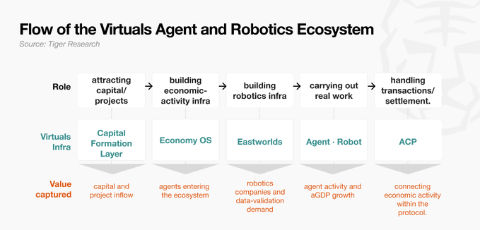 An infographic titled 'Flow of the Virtuals Agent and Robotics Ecosystem' sourced from Tiger Research, detailing a five-step process from attracting capital to handling transactions, with corresponding 'Virtuals Infra' components like 'Economy OS' and 'Eastworlds'.