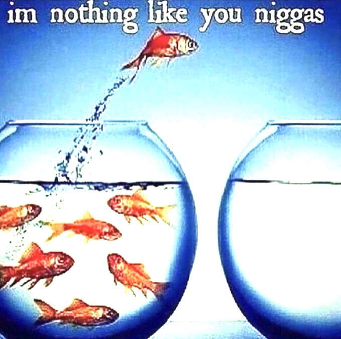 The image shows a fish leaping out of a bowl while others remain, with the text "im nothing like you niggas." This visually represents the post's sentiment of differentiating from the "cope" and negativity surrounding the Robinhood chain, highlighting a sense of individuality and ambition.