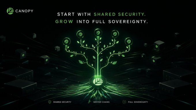A promotional graphic for Canopy featuring a glowing green tree with circuit-like roots and branches, displaying the text 'START WITH SHARED SECURITY. GROW INTO FULL SOVEREIGNTY.' and labels for 'SHARED SECURITY', 'NESTED CHAINS', and 'FULL SOVEREIGNTY'.