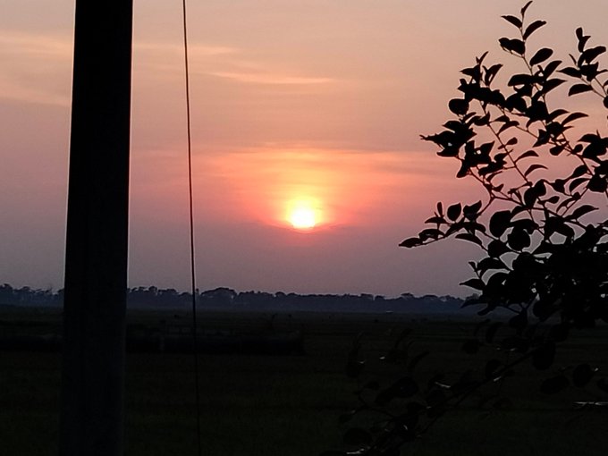 A serene sunset scene with the sun glowing orange through a hazy sky, framed by silhouetted tree branches on the right and a vertical pole on the left.