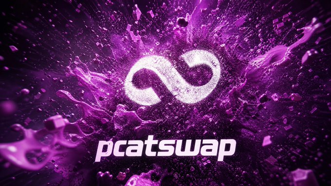 Logo image for 'pcatswap' featuring a white infinity symbol surrounded by a vibrant purple splash effect on a dark background.