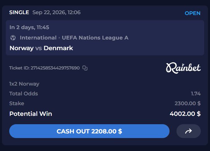 A Rainbet betting slip showing a $2300 stake on Norway vs Denmark in the UEFA Nations League, with a $4002 potential win and a $2208 cash out option—a high-stakes wager that mirrors the risky all-or-nothing gamble of a meme coin investment.
