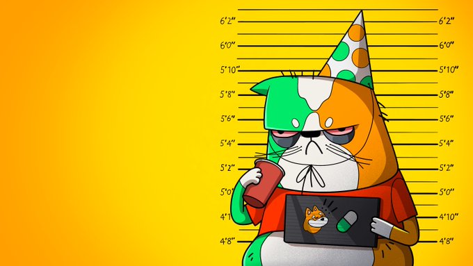 A cartoon orange, green, and white cat wearing a party hat and red shirt sits against a yellow police lineup height chart, holding a soda and a laptop showing a Shiba Inu meme.