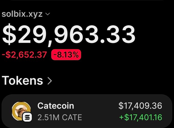 A screenshot of the solbix.xyz portfolio tracker showing a total balance of $29,963.33, down -$2,652.37 (-8.13%), with the top holding being 2.51M Catecoin ($CATE) valued at $17,409.36 and showing an unrealized gain of +$17,401.16, illustrating the impressive returns highlighted in the accompanying post about turning $1,950 into over $26,000 in profit.