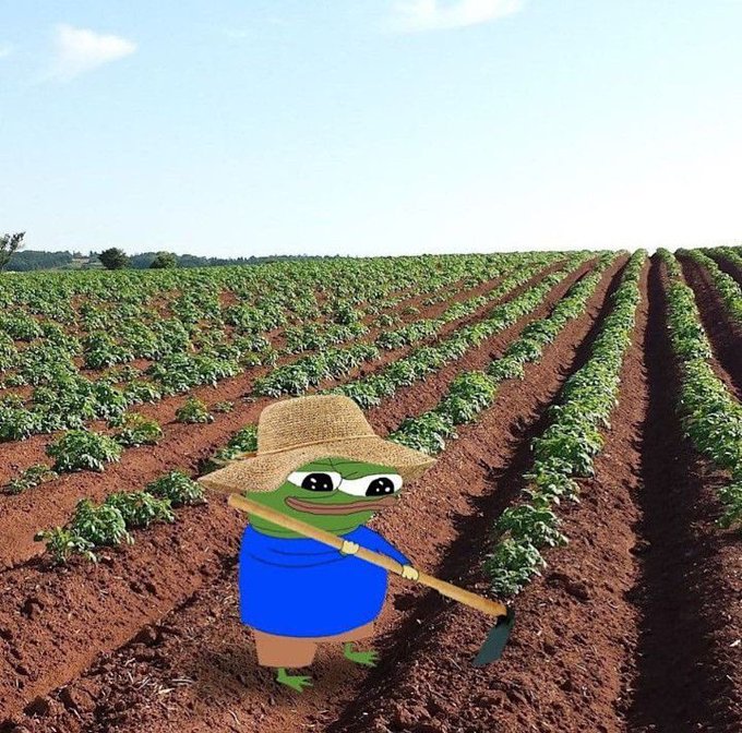 A cartoon Pepe the Frog character wearing a straw hat and blue shirt holds a hoe while standing in a plowed farm field under a clear sky.