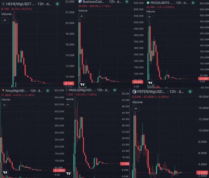 A grid of six cryptocurrency trading charts showing 12-hour candle data for HEHE/WgUSDT, BusinessCat, PEGD/USDT, funny/WgUSDT, PAOLO/WgUSDT, and FEFER/WgUSDT, all displaying significant price declines.