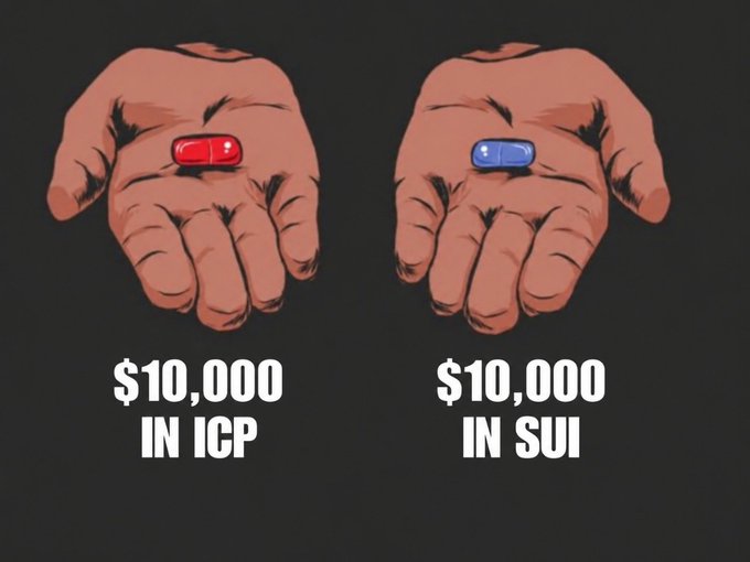 A graphic showing two hands holding a red pill labeled "$10,000 IN ICP" and a blue pill labeled "$10,000 IN SUI," referencing The Matrix's red/blue pill choice.