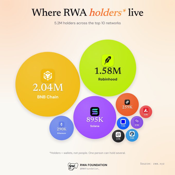An infographic titled 'Where RWA holders* live' shows 5.2M holders across the top 10 networks, with BNB Chain leading at 2.04M, followed by Robinhood at 1.58M, Solana at 895K, and Ethereum at 290K. The RWA Foundation logo and a note clarifying that 'Holders = wallets, not people' appear at the bottom.