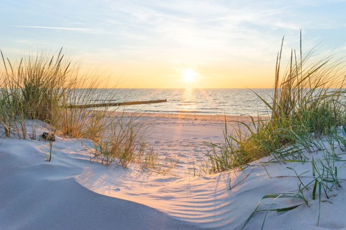 The image shows a serene beach scene at sunrise or sunset, with golden light spilling across calm waters and wind-swept dune grasses framing the sandy foreground. It perfectly complements the post's message of taking a moment to pause and recharge, capturing the tranquil pause between days of pushing forward.