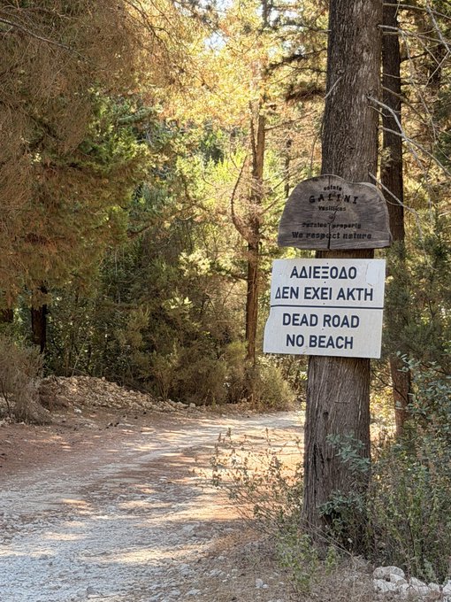 A dirt path winds into a wooded area with a sign on a tree reading "ΔΑΙΣΘΟΛ ΔΕΝ ΕΧΕΙ ΑΚΤΗ / DEAD ROAD NO BEACH" and an "estate GARDINI" plaque above it. The "Dead Road, No Beach" sign humorously captures the "gm pov:" vibe of a quiet, aimless morning walk leading nowhere in particular.