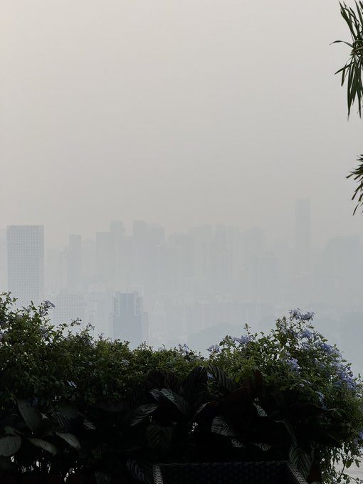 A hazy Singapore skyline peeks through thick smog, with lush greenery and purple flowers in the foreground barely visible against the obscured cityscape—capturing the unhealthy air quality that makes breathing difficult in the open.