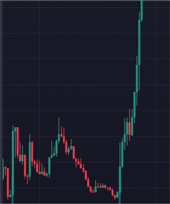This image shows a cryptocurrency chart with an initial decline followed by a dramatic upward surge, visually representing the potential 1000X growth for a #memecoin.