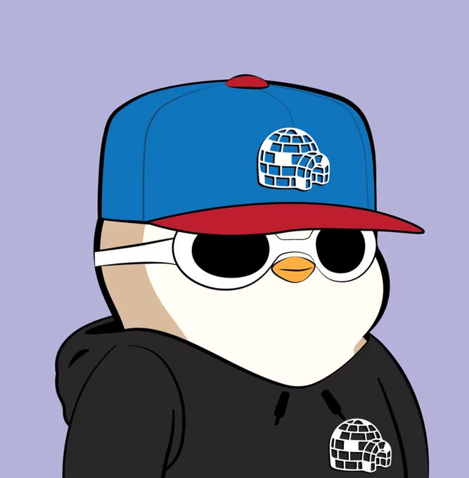 An illustration of a penguin character wearing sunglasses, a black hoodie, and a blue and red baseball cap with an igloo logo.