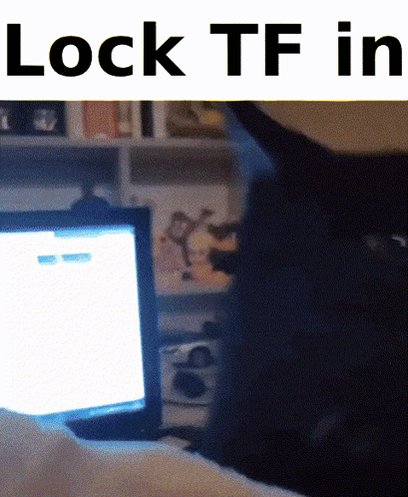 The image shows a black cat sitting next to an open laptop computer, with its head resting on the keyboard. The cat appears to be looking at something on the screen or just relaxing near the device. The caption of the image reads "Lock TF IN" in white text above and below the cat's head.