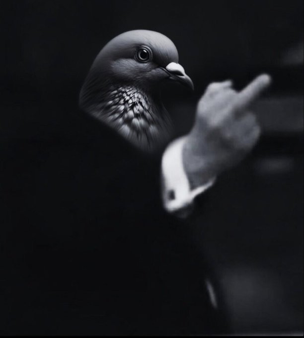 The image shows a pigeon with a human hand, wearing a suit and pointing, set against a dark background, fitting the post's claim that "Pigeon will be the first meme to reach a 1B dollar market cap." The image's serious, executive-like tone plays on the absurd notion of a pigeon as a serious financial contender, lending humor to the meme's ambitious market cap prediction.