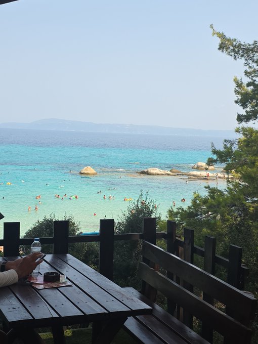 A scenic view from a wooden picnic table overlooking a turquoise beach with swimmers, rocky outcrops, and a tree branch framing the right side.