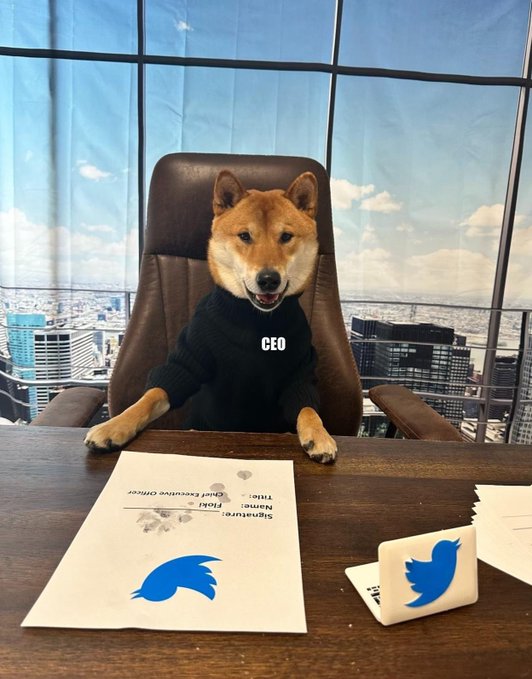 A Shiba Inu dog wearing a black "CEO" sweater sits at a high-rise office desk, presenting an executive contract featuring the Twitter bird logo and the name "Floki." The image humorously depicts the dog as the chief executive of the app, with the paw-printed contract and Twitter branding playing on the "Doge CEO" joke in the caption.