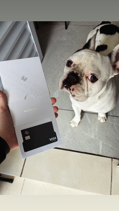 A first-person photo of someone holding up a new black Visa Fold credit card in its welcome packaging, with a French Bulldog looking at the camera on a tiled floor.