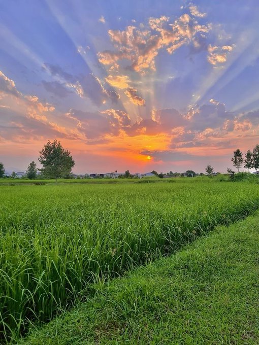 A green field under a dramatic sunset, with orange-and-pink clouds, radiating sunbeams, distant trees, and low buildings near the horizon.