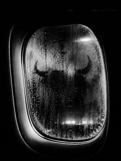 A black and white image of a bull's silhouette visible through a rain-streaked airplane window.