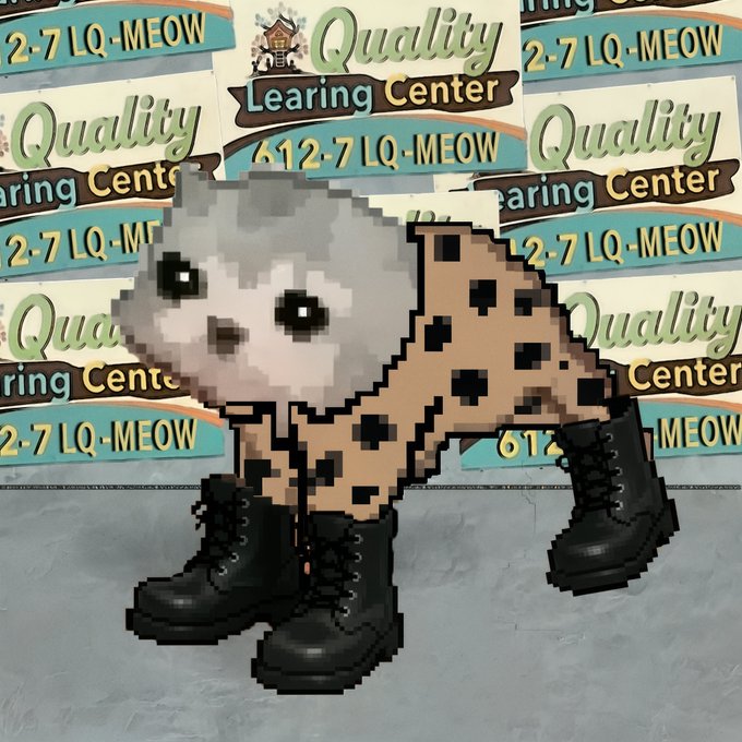 A pixelated collage-style image of a white cat with spots wearing black combat boots, set against a background of repeated 'Quality Learning Center' and '612-7 LQ-MEOW' text signs.