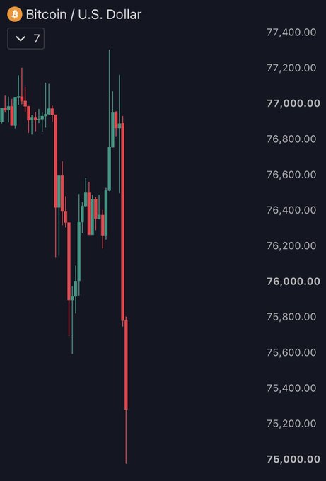 A candlestick chart of Bitcoin (BTC/USD) on a 7-minute timeframe shows a sharp decline, with the price dropping to approximately $75,000 from a peak near $77,300, illustrating the sudden crash referenced in the breaking news of BTC falling below $75,000 for the first time since August and triggering over $300 million in long liquidations.