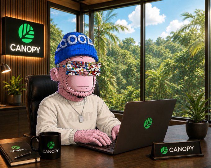 A pink furry character wearing a blue 'COOL' beanie and pixelated sunglasses sits at a wooden desk working on a laptop, with a 'CANOPY' logo visible on a wall sign, mug, and laptop.