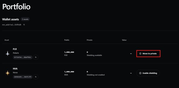 A cryptocurrency portfolio dashboard showing two wallet assets: PLR (Polaris) with 5,000,000 tokens and shielding available (highlighted with a 'Move to private' button), and NVA (Nova) with 5,000,000 tokens and shielding not enabled.
