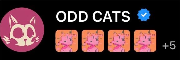 A banner for an NFT collection named 'ODD CATS' showing a verified profile with a skull cat logo and four pink cartoon cat thumbnails.