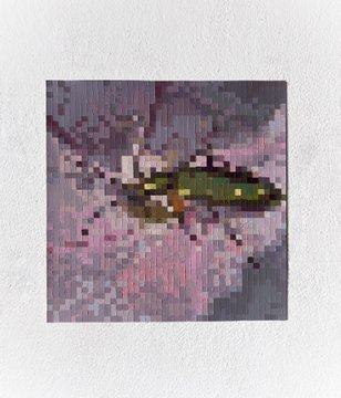 A small, low-resolution pixelated image of a dark bird perched on a branch against a pink and purple floral background, mounted on a textured gray wall.