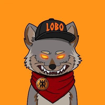 A cartoon illustration of a gray wolf character with glowing orange eyes, wearing a red bandana with a medallion and a black cap that says "LOBO" in orange letters.