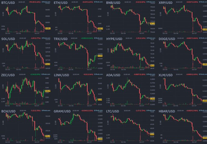 A grid of 16 cryptocurrency price charts (BTC/USD, ETH/USD, BNB/USD, XRP/USD, SOL/USD, TRX/USD, HYPE/USD, DOGE/USD, ZEC/USD, LINK/USD, ADA/USD, XLM/USD, BCH/USD, GRAM/USD, LTC/USD, and HBAR/USD) from finviz.com all display steep red downward trends, visually reinforcing the post's claim that $100 billion was wiped from the crypto market in 24 hours.