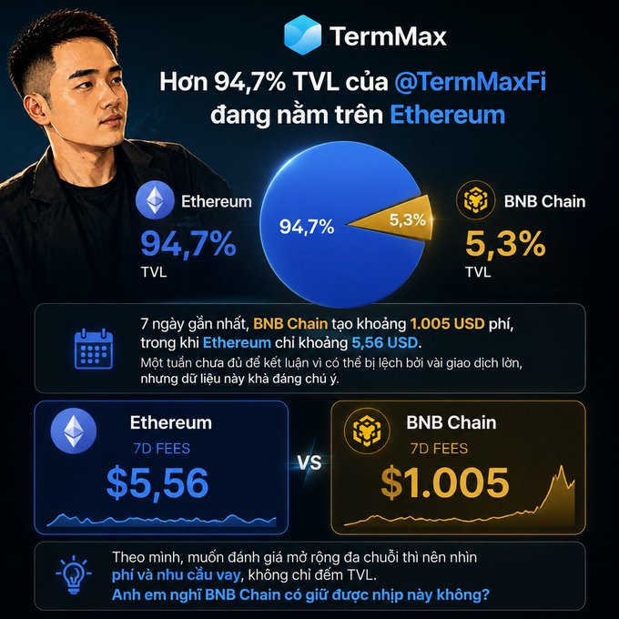 An infographic about TermMax cryptocurrency, showing 94.7% of TVL is on Ethereum with $5.56 in 7D fees, while BNB Chain has 5.3% TVL but $1,005 in 7D fees, featuring Vietnamese text.