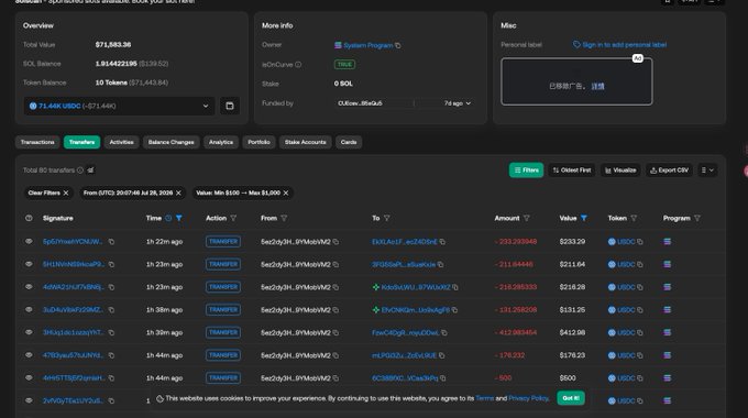 The image shows a Solana blockchain explorer (likely Solscan) displaying the "System Program" account (9WzDXwBbmkg8ZTbNMqUxvQRAyrZzDs76d9DCCQmhojdQ) with a balance of 71,439 USDC, alongside a transaction feed showing recent USDC transfers (~$216-237 range) with token mints like "2D5TXn…" and "7PJSf4…".

The caption likely relates to tracking small USDC transfer activity ($200-$300 range) on Solana, contrasting with the post's mention of "100 bucks" transactions—suggesting the user is monitoring blockchain transactions to identify KOLs/influencers receiving small payment amounts for profile pic promotions.