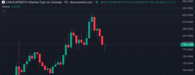 A daily candlestick chart from dexscreener.com shows CASHCAT/WETH on Uniswap with a market cap of $192.72M, up 0.17% on the day, after peaking near $300M and currently trading well below its all-time high, visually supporting the post's claim of a ~37% drawdown from the ATH.