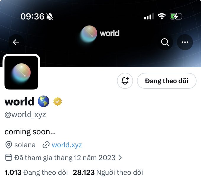 The image shows a Twitter/X profile page for the account "world" (@world_xyz) featuring a verified badge, a "coming soon..." bio, and a Solana-based project link (world.xyz), displaying 1,013 following and 28,123 followers. This aligns with the post promoting a waitlist hunt for the @world_xyz project, highlighting its strong following from Solana OGs and co-founder Toly as a potential free airdrop opportunity.