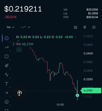 A crypto chart shows the $ANSEM token priced at $0.219211, down -30.21%, with a market cap of $21.98M, volume of $46.33M, and liquidity of $1.05M, illustrating the "pain" the poster refers to while framing the dip at a $210M FDV as a buying opportunity.