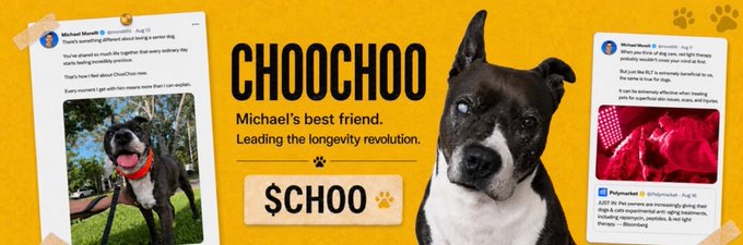A promotional graphic for the $CHOO token features a black and white pit bull-type dog alongside a "CHOOCHOO" header and the tagline "Michael's best friend. Leading the longevity revolution," with the ticker "$CHOO" prominently displayed on a yellow background.

The image visually represents the "Peptide Dog" meme referenced in the post, showcasing the dog's photo and name (Michael) as part of building the narrative around the $CHOO token, with the post's social media-style testimonials supporting the claim that CHOO has strong branding and community-driven potential.