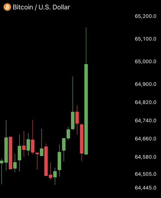 A Bitcoin/USD candlestick chart shows the cryptocurrency's price surging to a peak near $65,200.0, with a large green candle indicating the dramatic push above the key $65,000 psychological level referenced in the post.