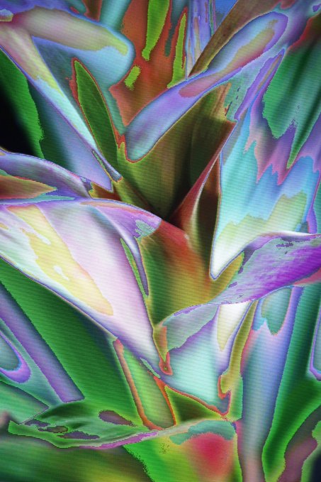 An abstract, colorful, fluid-like digital artwork featuring swirling patterns of green, purple, pink, and yellow with glitchy textures.