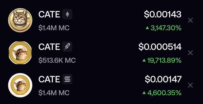 The image shows three different "CATE" meme tokens with dramatic price increases: CATE ($0.00143, ▲3,147.30%), CATE ($0.000514, ▲19,713.89%), and CATE ($0.00147, ▲4,600.35%), with market caps ranging from $513.6K to $1.4M. The post celebrates buying the Ethereum-based CATE token at a $400K market cap, matching the first entry on the list, which has since surged into massive gains.